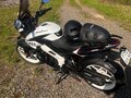 2021 Bajaj Pulsar NS 200, белый, 210000 рублей - вид 2