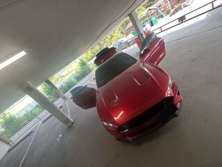 2020 Ford Mustang VI Рестайлинг, красный, 7000000 рублей, вид 2