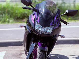 2008 Kawasaki Ninja 250R, фиолетовый, 313313 рублей, вид 2