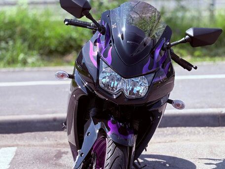 2008 Kawasaki Ninja 250R, фиолетовый, 320000 рублей, вид 2