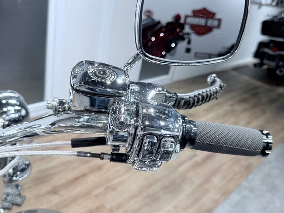 2004 Harley-Davidson Heritage, бежевый, 999000 рублей - вид 25