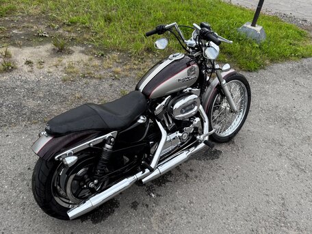 2007 Harley-Davidson Sportster 1200, пурпурный, 610000 рублей, вид 1