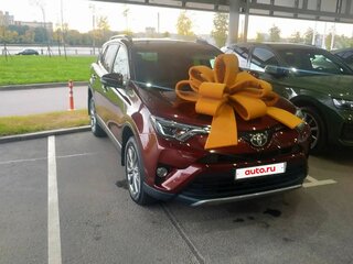 2018 Toyota RAV4 IV (XA40) Рестайлинг, красный, 2888000 рублей, вид 1