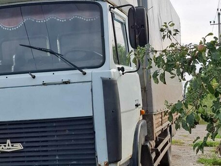 2005 МАЗ 4370, белый, 550000 рублей, вид 1