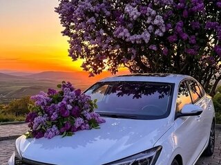 2023 Changan Eado Plus I, белый, 1700000 рублей, вид 1