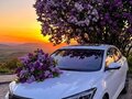 2023 Changan Eado Plus I, белый, 1700000 рублей
