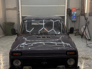 2001 Lada (ВАЗ) 2121 (4x4) I Рестайлинг, фиолетовый, 220000 рублей, вид 3