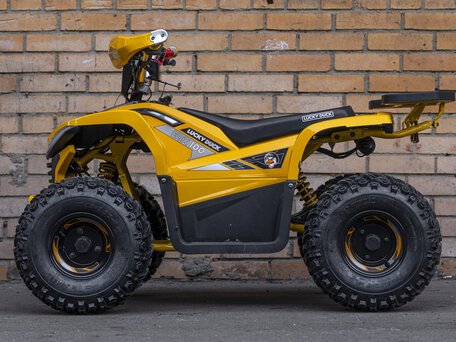2026 Lucky Duck EDX100, жёлтый, 149990 рублей, вид 1
