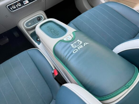 2024 Ora Good Cat 59.1 kWh I, синий, 1558083 рублей - вид 9