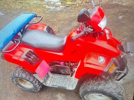2010 Stels ATV-110, красный, 70000 рублей, вид 2