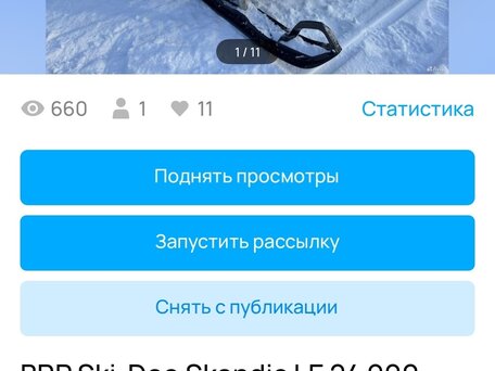 2025 BRP Ski-Doo Skandic LE 900 ACE, чёрный, 2800000 рублей, вид 1