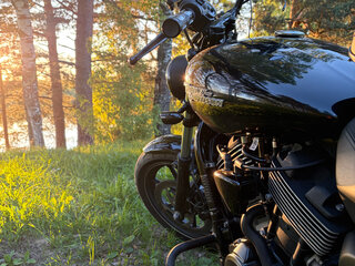 2018 Harley-Davidson Street 750, чёрный, 666000 рублей, вид 2