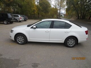 2014 Skoda Octavia III (A7), белый, 830000 рублей, вид 4