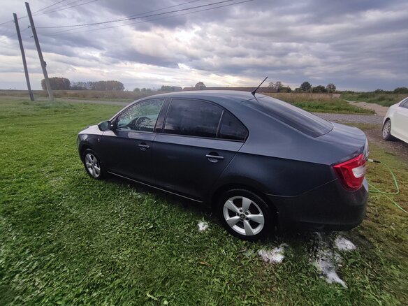 2014 Skoda Rapid I, серый, 780000 рублей - вид 5
