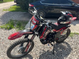 2025 Motoland XR300, красный, 115000 рублей, вид 3