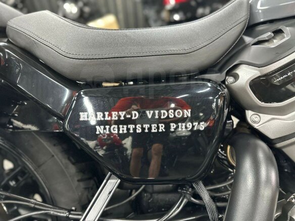 2023 Harley-Davidson Nightster, серый, 920000 рублей - вид 18