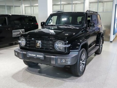 Tank 300 I