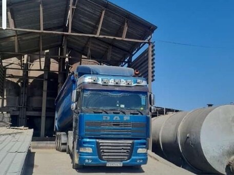 2001 DAF XF 95, синий, 1700000 рублей, вид 3