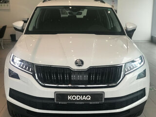 2019 Skoda Kodiaq I, белый, 3300000 рублей, вид 3
