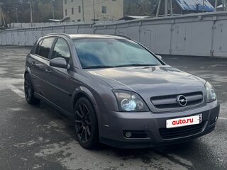 2004 Opel Signum I, серый, 590000 рублей, вид 1