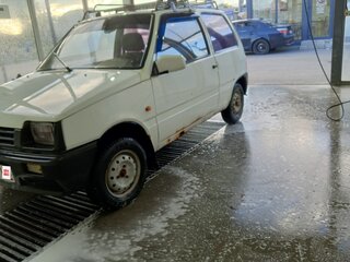 2004 Lada (ВАЗ) 1111 Ока КамАЗ, белый, 38000 рублей, вид 5