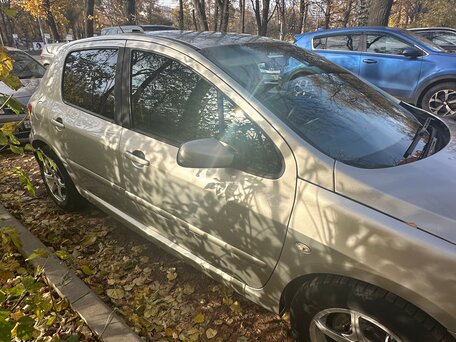 2005 Peugeot 307 I, серый, 192000 рублей, вид 5