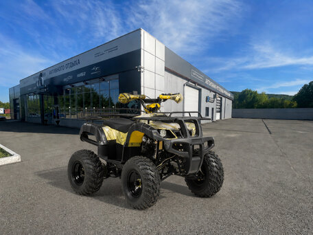 2026 Motoland ATV 250 Adventure, бежевый, 185100 рублей, вид 1