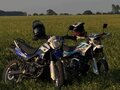 2019 Racer Panther, голубой, 65000 рублей - вид 3