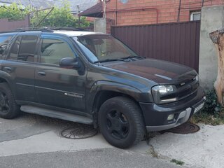2003 Chevrolet TrailBlazer I, серый, 620000 рублей, вид 2