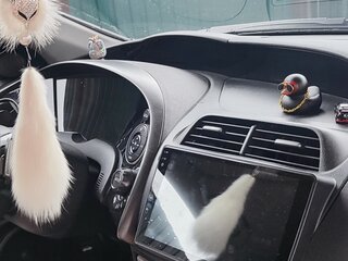 2007 Honda Civic VIII, чёрный, 760000 рублей, вид 5