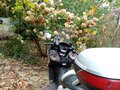 2007 Honda Silver Wing 400, белый, 320000 рублей - вид 1