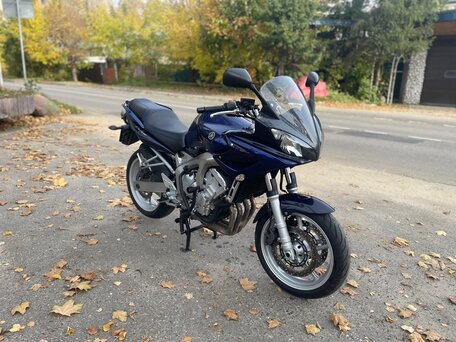 2005 Yamaha FZ6, синий, 550000 рублей, вид 1