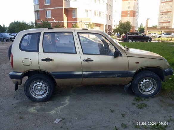 2004 Chevrolet Niva I, коричневый, 200000 рублей - вид 1
