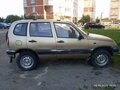2004 Chevrolet Niva I, коричневый, 200000 рублей - вид 1