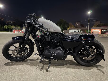 2021 Harley-Davidson Sportster 1200, серый, 1450000 рублей, вид 2