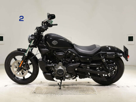 2024 Harley-Davidson Nightster, чёрный, 790000 рублей, вид 2