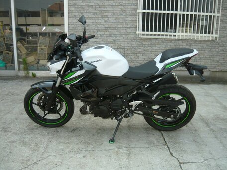 2019 Kawasaki Z 400, белый, 595000 рублей, вид 1