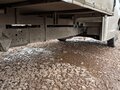 2024 ГАЗ ГАЗель Next, белый, 1873000 рублей - вид 9