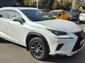 2019 Lexus NX 300 I Рестайлинг, белый, 2550000 рублей - вид 10