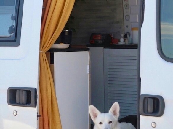 2009 Renault Master, белый, 1750000 рублей - вид 2