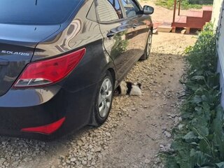 2015 Hyundai Solaris I Рестайлинг, коричневый, 850000 рублей, вид 4