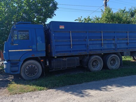 2012 КамАЗ 65117, синий, 2700000 рублей, вид 3