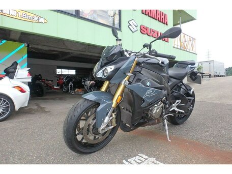 2017 BMW S 1000 R, серый, 1020000 рублей, вид 2