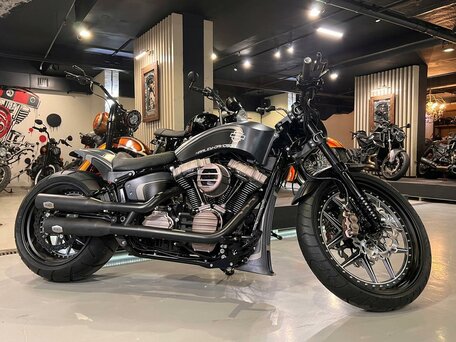 2024 Harley-Davidson Breakout, серый, 3000000 рублей, вид 2