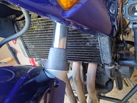 2005 Honda CBF 600, синий, 470000 рублей - вид 6