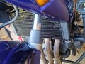 2005 Honda CBF 600, синий, 470000 рублей - вид 6