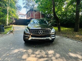 2015 Mercedes-Benz M-Класс 250 CDI BlueTEC III (W166), коричневый, 2200000 рублей, вид 1