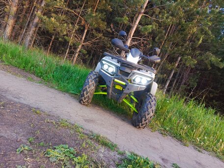 2021 Motoland Wild Track 200, белый, 125000 рублей, вид 2