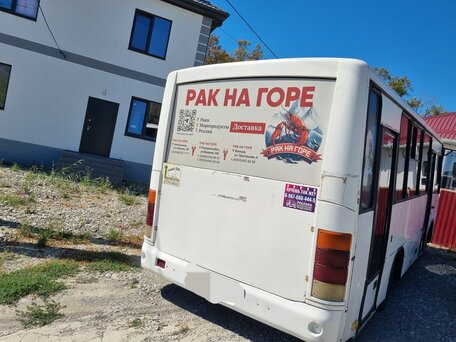 2012 ПАЗ 3204, белый, 450000 рублей, вид 5