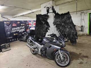 2003 Yamaha FJR1300, серебристый, 550000 рублей, вид 2